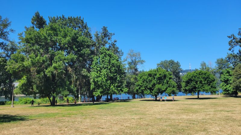Sellwood Off-Leash Dog Park - Portland, OR