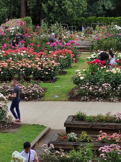 Washington Park - Portland, OR