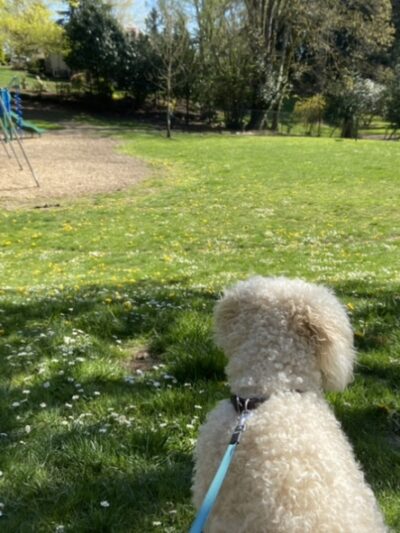 West Slope Park - Portland, OR