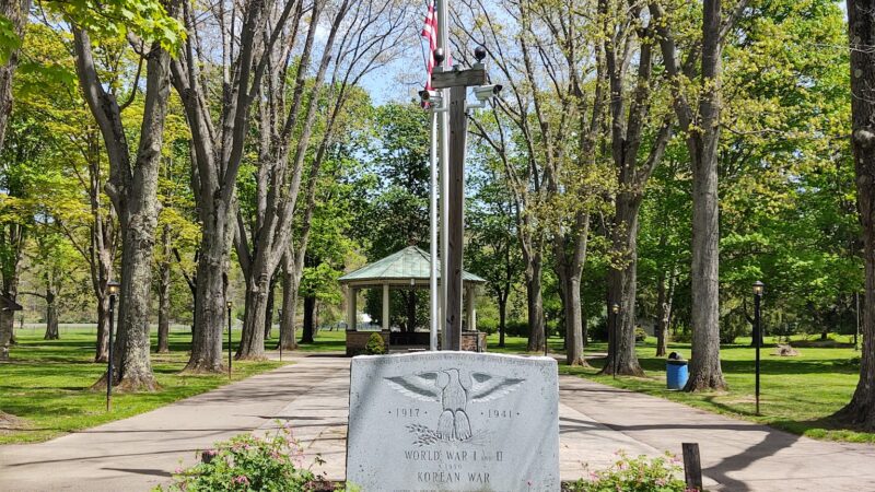 Pioneers Park - Portville, NY