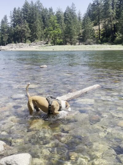 McGuire Park - Post Falls, ID