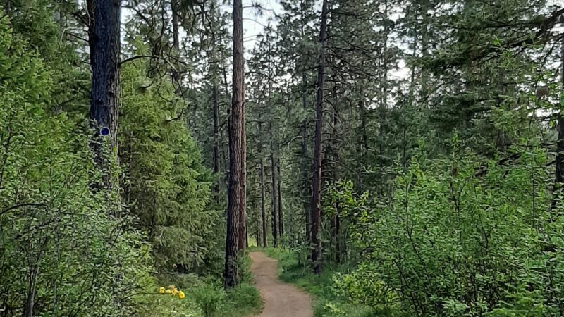 McGuire Park - Post Falls, ID