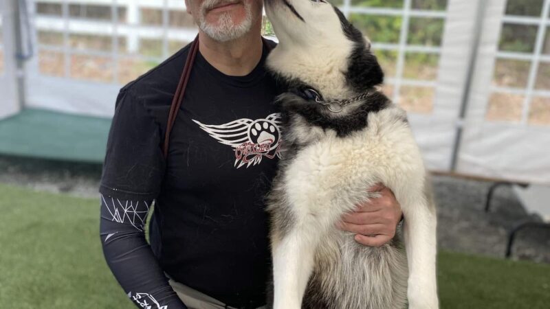 Method K9, LLC - Post Falls, ID