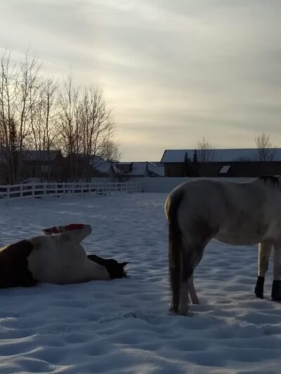 Park in the Meadows - Post Falls, ID