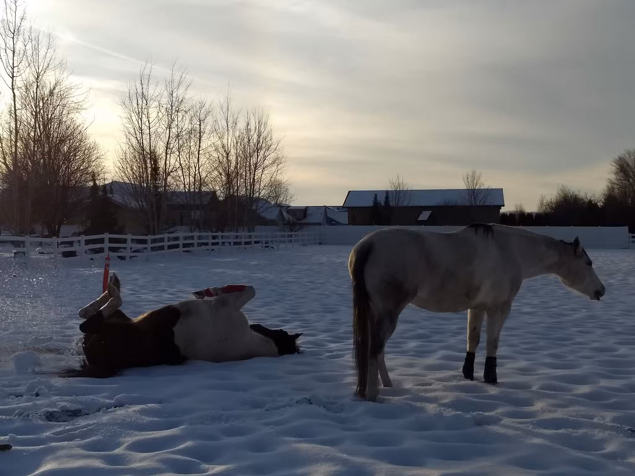 Park in the Meadows - Post Falls, ID