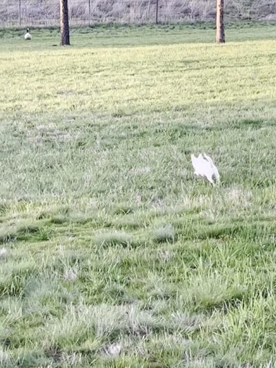 Stateline Park - Post Falls, ID