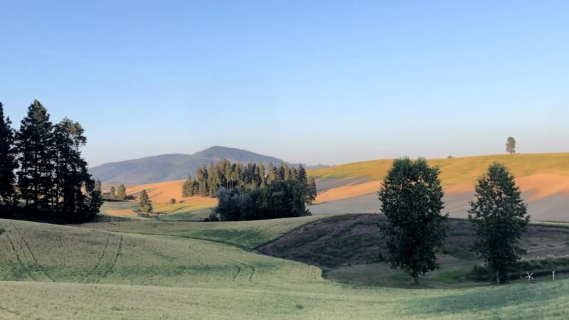 Potlatch - Potlatch, ID