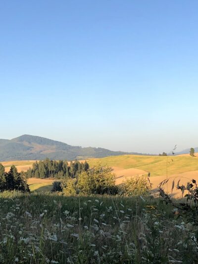 Potlatch - Potlatch, ID