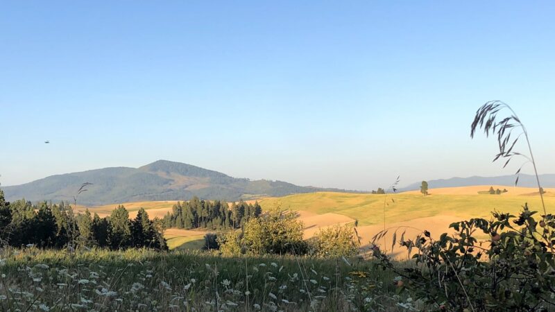 Potlatch - Potlatch, ID