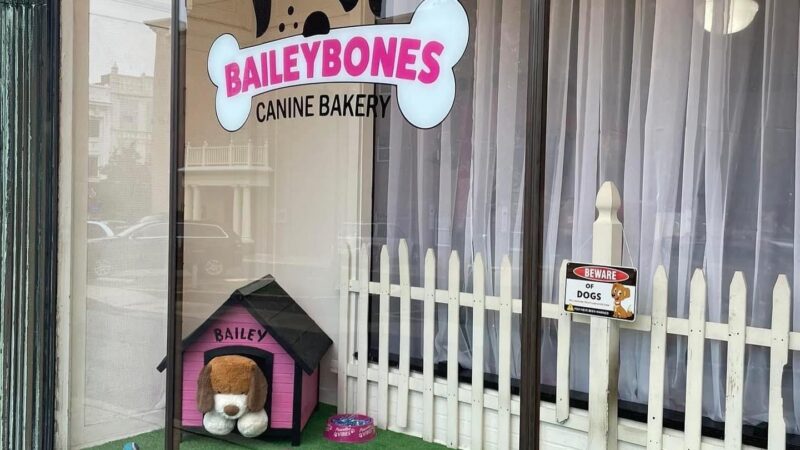 Baileybones Canine Bakery - Pottsville, PA