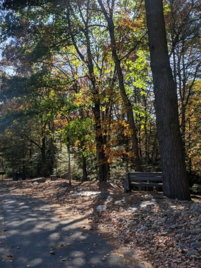 Terry Reilly Memorial Park - Pottsville, PA