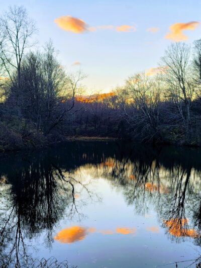 The Preserve at Vassar - Poughkeepsie, NY