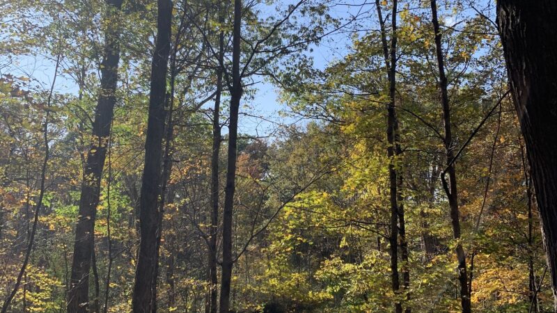 The Preserve at Vassar - Poughkeepsie, NY