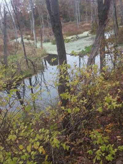 The Preserve at Vassar - Poughkeepsie, NY