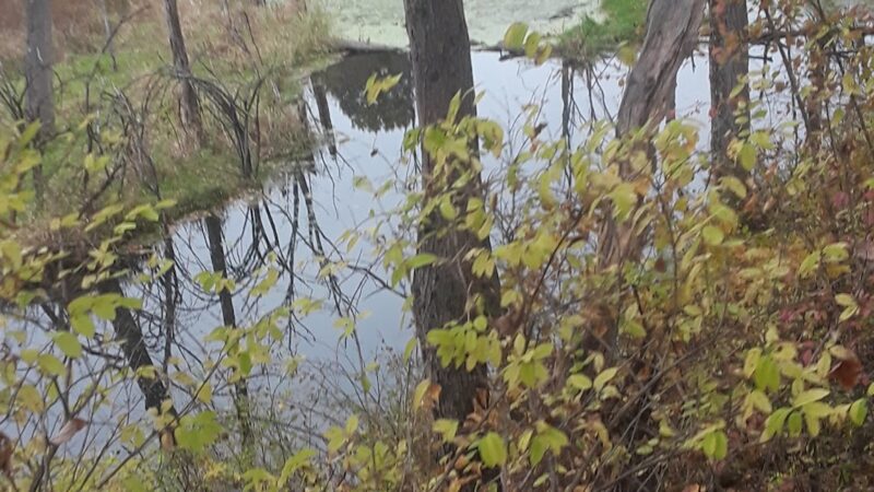 The Preserve at Vassar - Poughkeepsie, NY