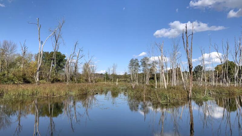 The Preserve at Vassar - Poughkeepsie, NY