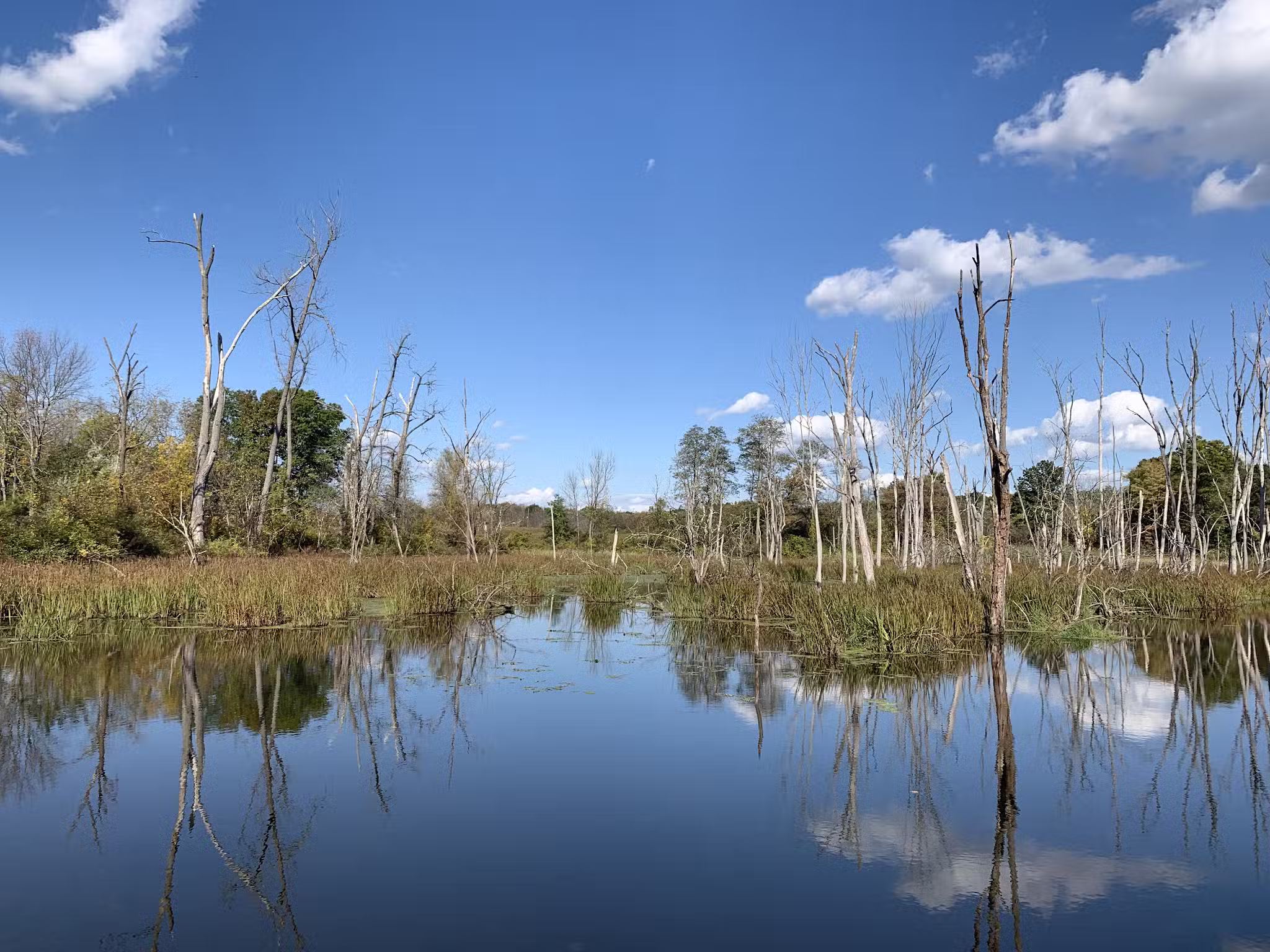 The Preserve at Vassar - Poughkeepsie, NY