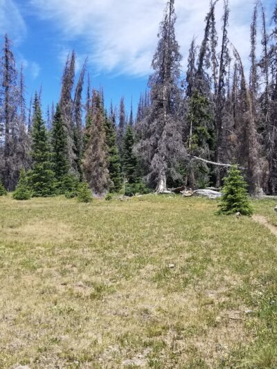 Powderhorn Lakes Trail - Powderhorn, CO