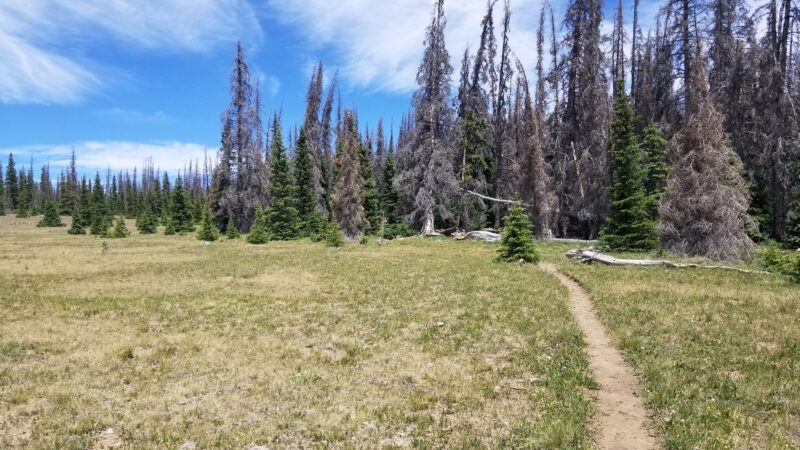 Powderhorn Lakes Trail - Powderhorn, CO