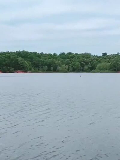 Pat Mayse Lake Recreation Area - Powderly, TX