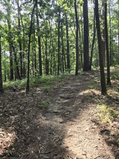 Pat Mayse Lake Recreation Area - Powderly, TX