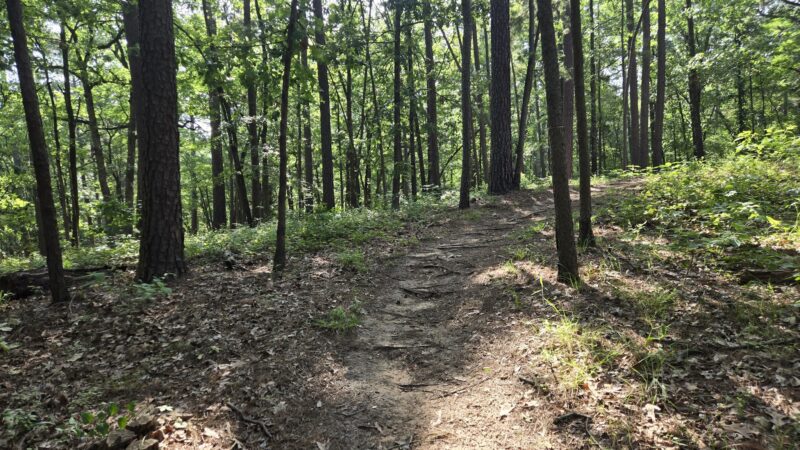 Pat Mayse Lake Recreation Area - Powderly, TX