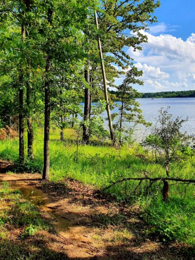 Pat Mayse Lake Recreation Area - Powderly, TX