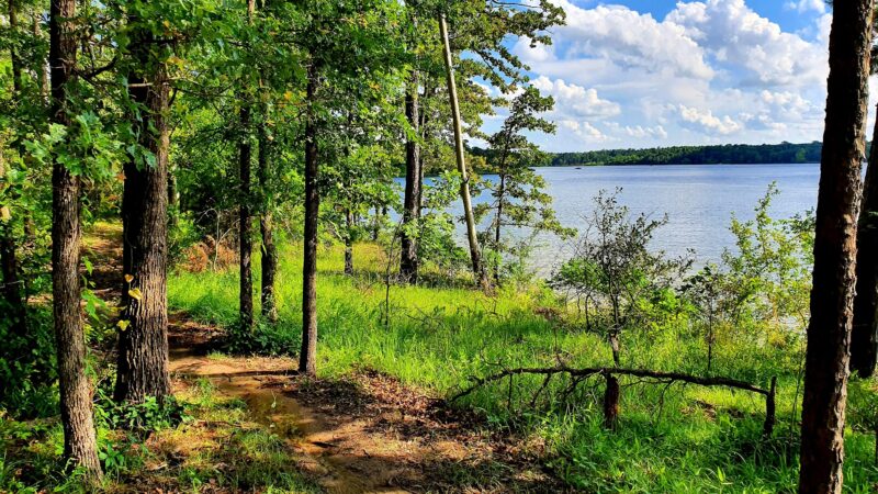Pat Mayse Lake Recreation Area - Powderly, TX