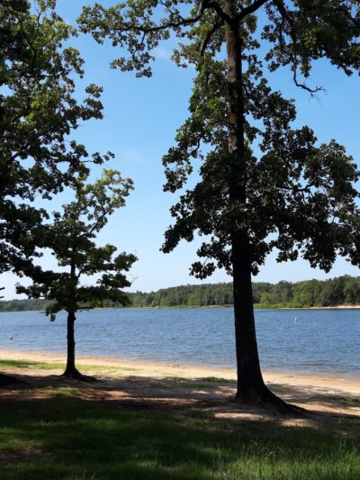 Pat Mayse Lake Recreation Area - Powderly, TX