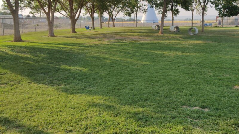 Wiggly Field Off-Leash Dog Park - Powell, WY