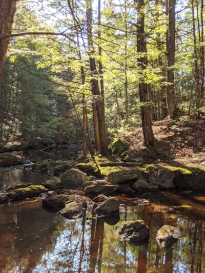 Bradbury Mountain State Park - Pownal, ME