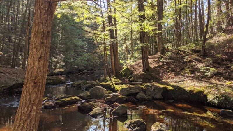 Bradbury Mountain State Park - Pownal, ME