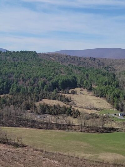 Pratt Rock Trailhead - Prattsville, NY