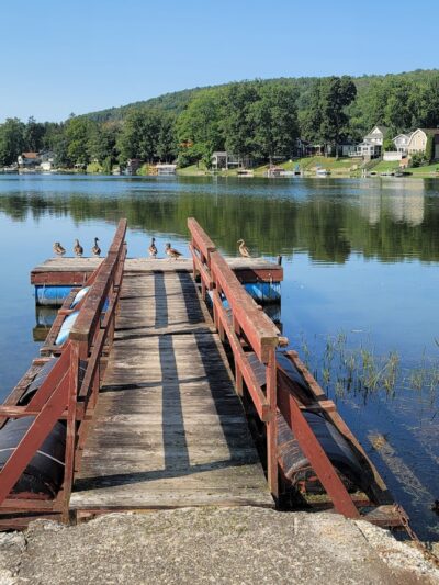 Dwyer Memorial Park - Preble, NY