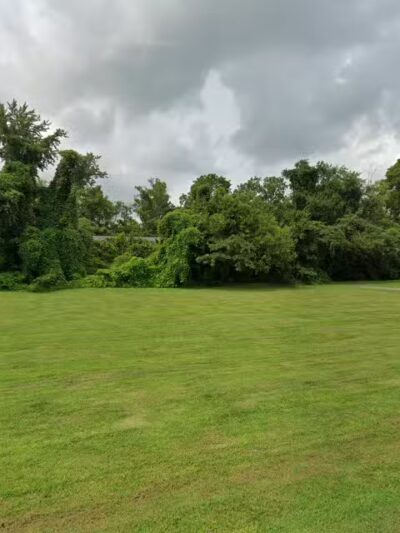 Big Springs Bark Park - Princeton, KY