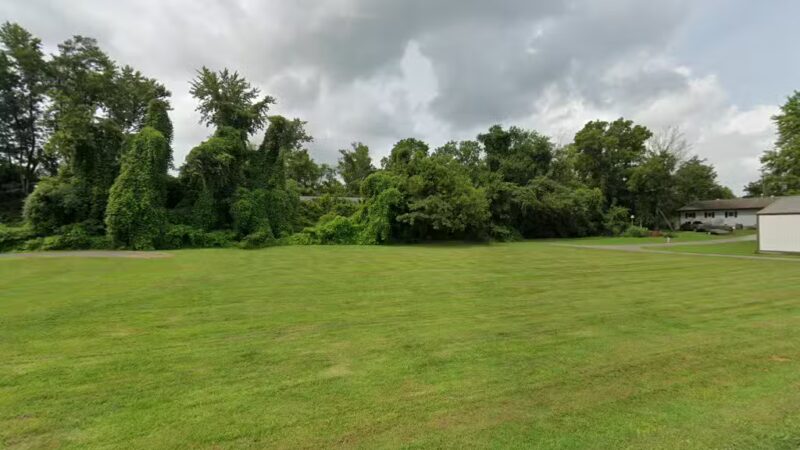 Big Springs Bark Park - Princeton, KY