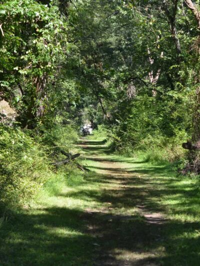 Community Park North - Princeton, NJ