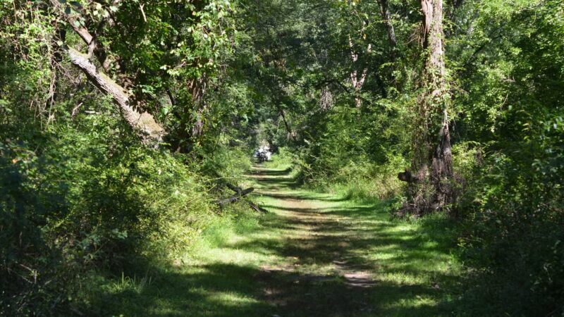 Community Park North - Princeton, NJ