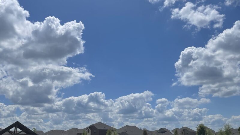 Charlie's Pet Park - Princeton, TX