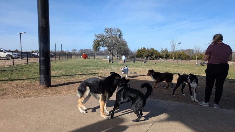 Princeton Dog Park - Princeton, TX