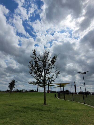 Princeton Dog Park - Princeton, TX