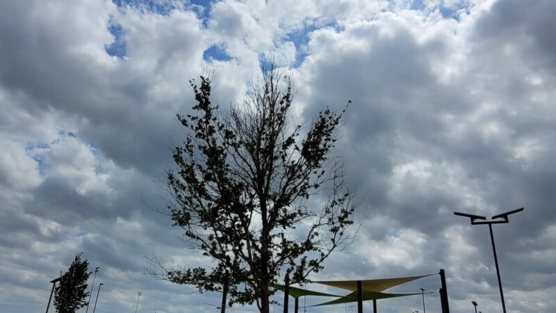 Princeton Dog Park - Princeton, TX