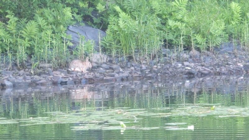 Prompton State Park - Prompton, PA