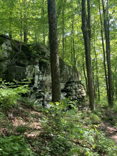 Prompton State Park - Prompton, PA