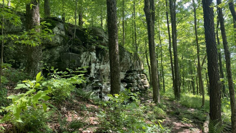 Prompton State Park - Prompton, PA