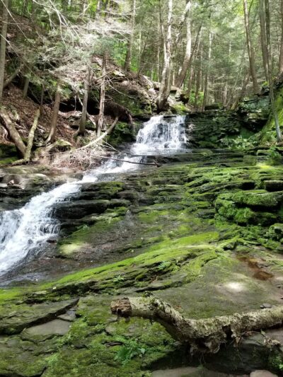 Prompton State Park - Prompton, PA