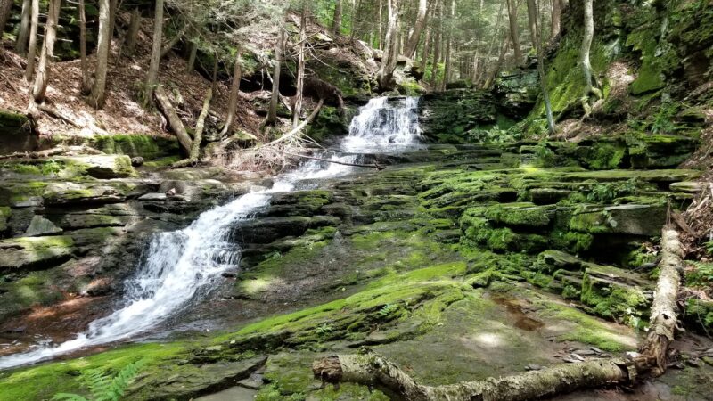 Prompton State Park - Prompton, PA