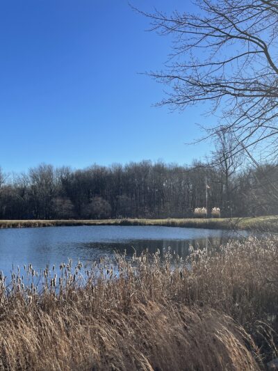 McGrath Park - Prospect, CT