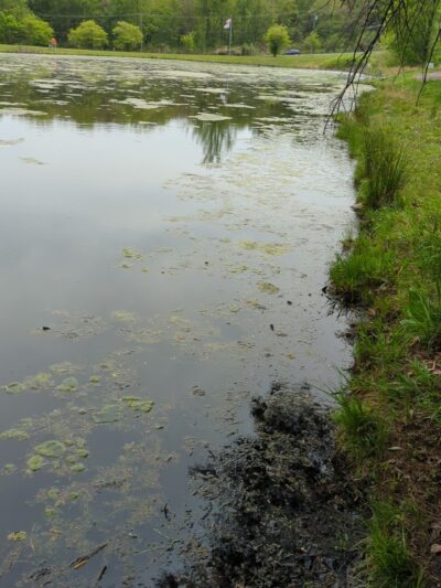 McGrath Park - Prospect, CT