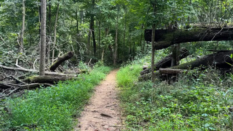 Harrods Creek Park - Prospect, KY